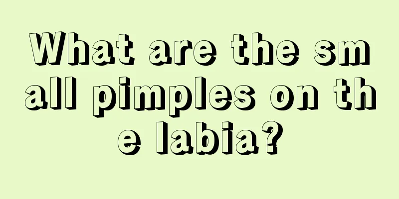 What are the small pimples on the labia?