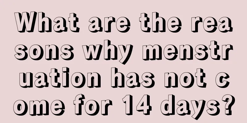 What are the reasons why menstruation has not come for 14 days?