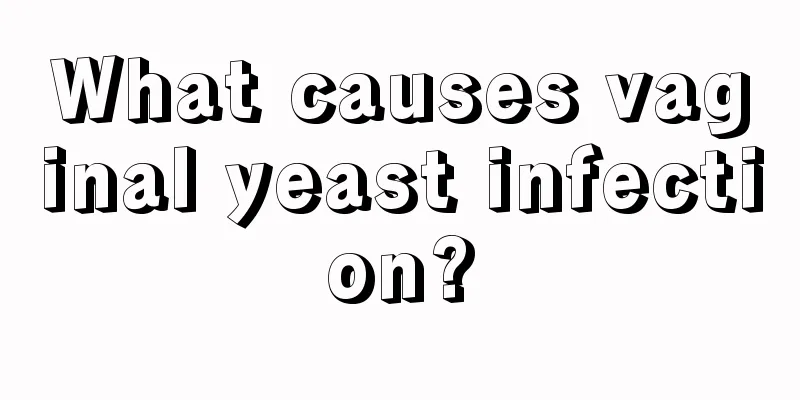 What causes vaginal yeast infection?