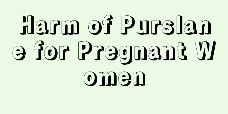 Harm of Purslane for Pregnant Women