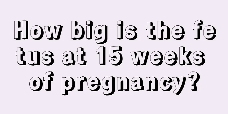 How big is the fetus at 15 weeks of pregnancy?