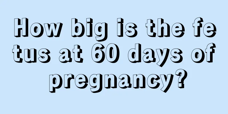 How big is the fetus at 60 days of pregnancy?