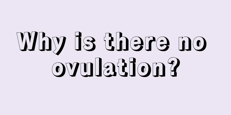 Why is there no ovulation?