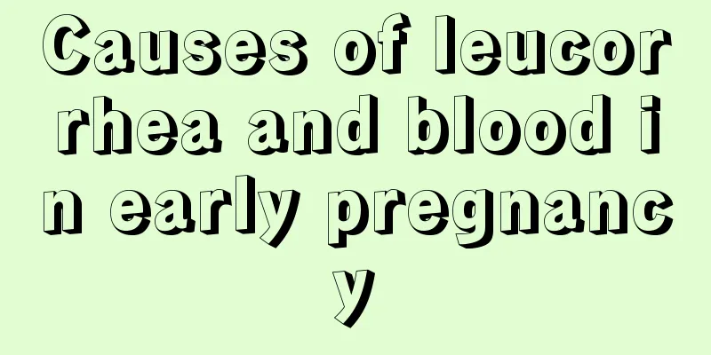 Causes of leucorrhea and blood in early pregnancy