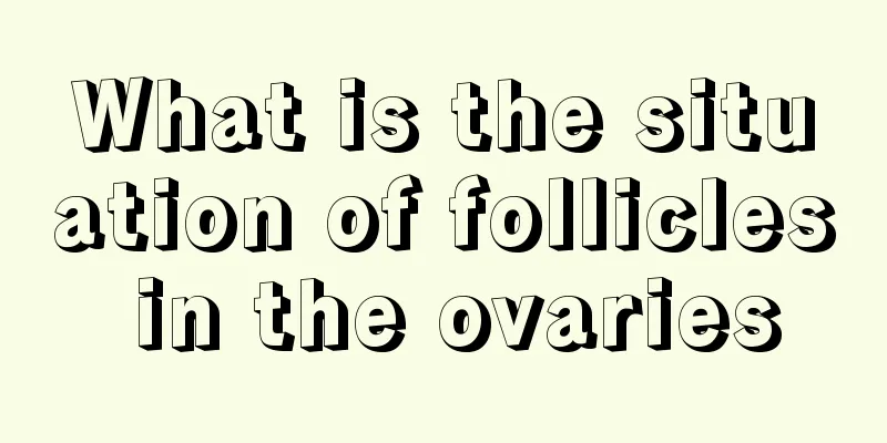 What is the situation of follicles in the ovaries