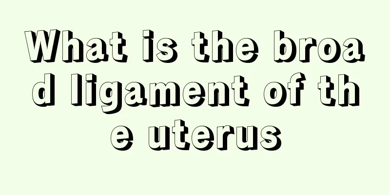 What is the broad ligament of the uterus