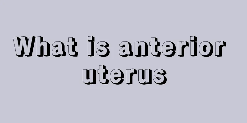 What is anterior uterus