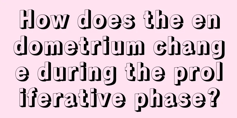 How does the endometrium change during the proliferative phase?