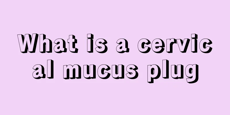 What is a cervical mucus plug