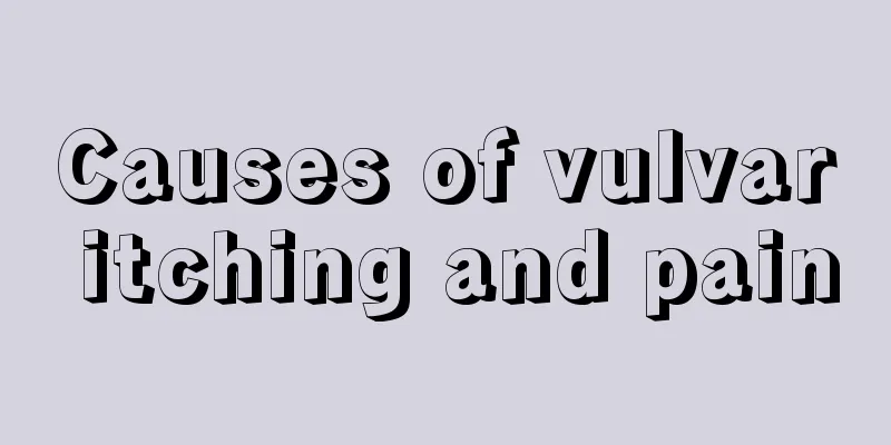 Causes of vulvar itching and pain