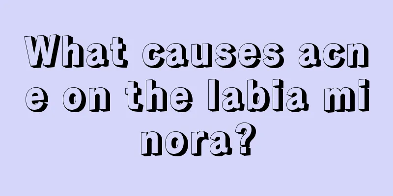 What causes acne on the labia minora?