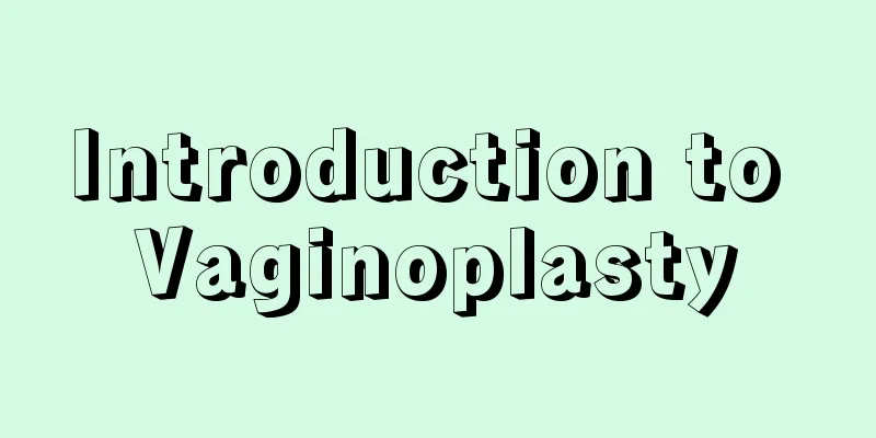 Introduction to Vaginoplasty