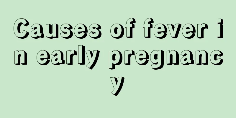 Causes of fever in early pregnancy