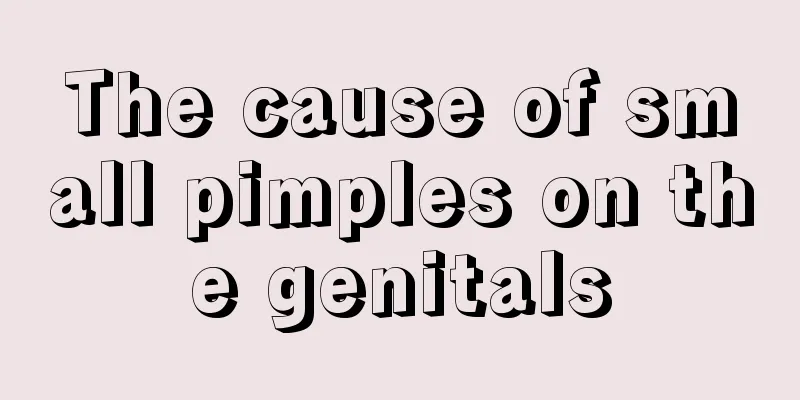 The cause of small pimples on the genitals