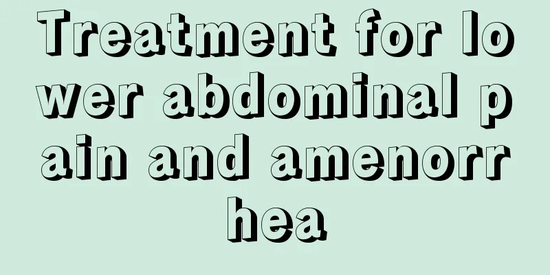 Treatment for lower abdominal pain and amenorrhea