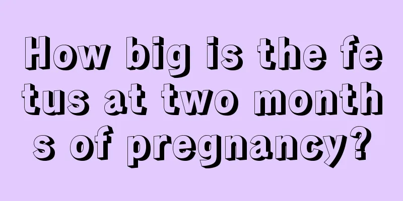 How big is the fetus at two months of pregnancy?