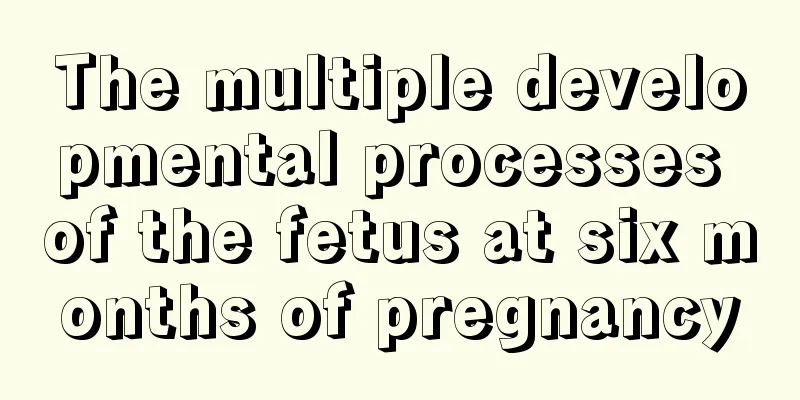 The multiple developmental processes of the fetus at six months of pregnancy