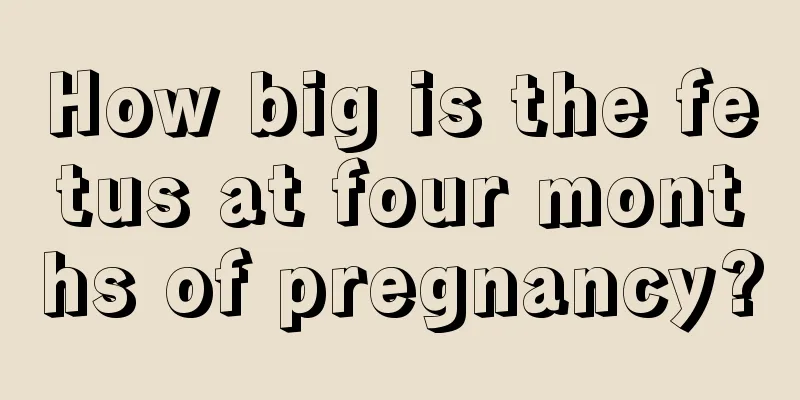 How big is the fetus at four months of pregnancy?