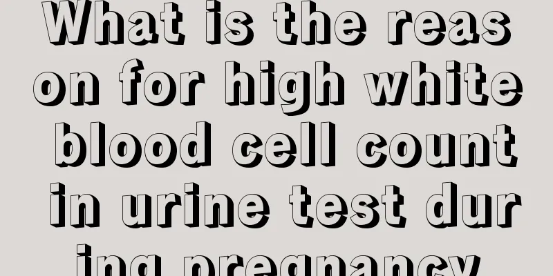 What is the reason for high white blood cell count in urine test during pregnancy