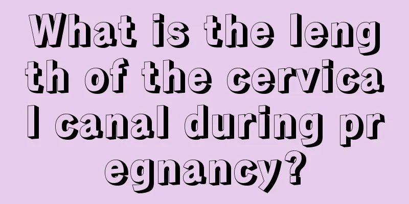 What is the length of the cervical canal during pregnancy?