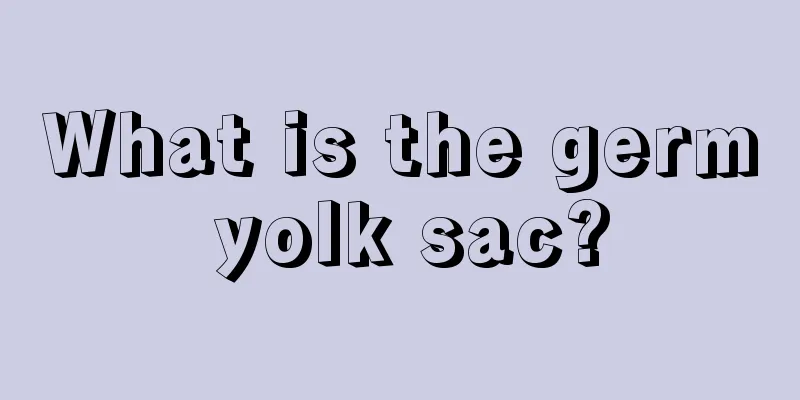 What is the germ yolk sac?