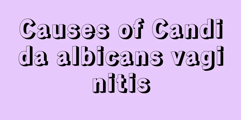 Causes of Candida albicans vaginitis