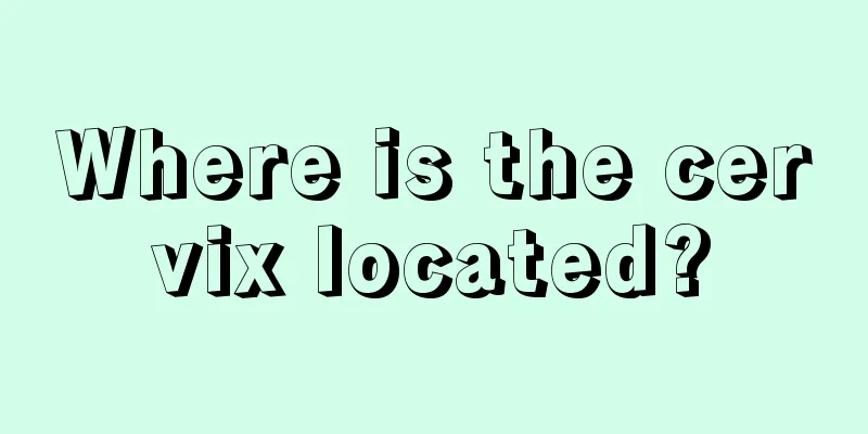 Where is the cervix located?