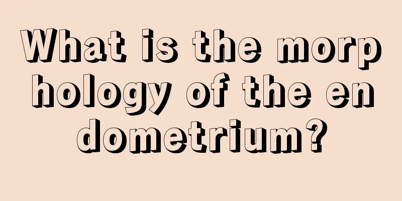 What is the morphology of the endometrium?