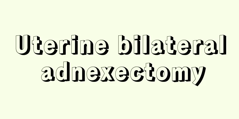 Uterine bilateral adnexectomy