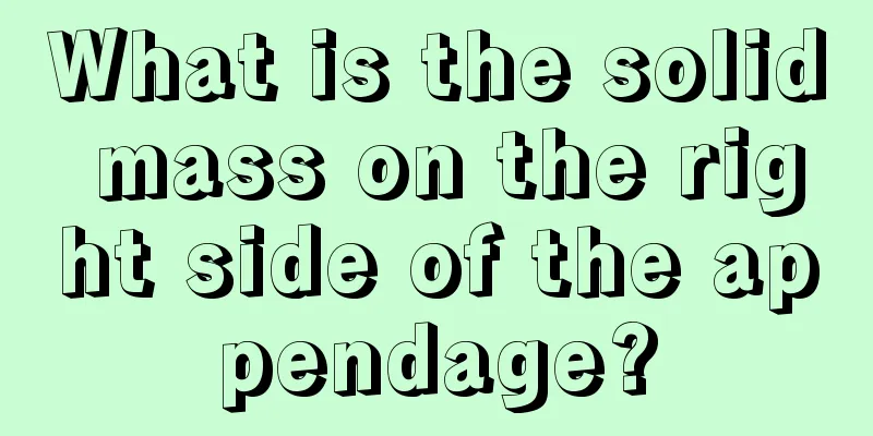 What is the solid mass on the right side of the appendage?