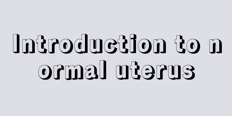 Introduction to normal uterus