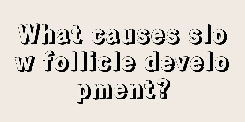 What causes slow follicle development?