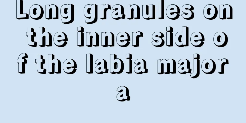 Long granules on the inner side of the labia majora