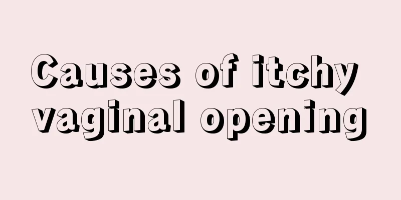 Causes of itchy vaginal opening