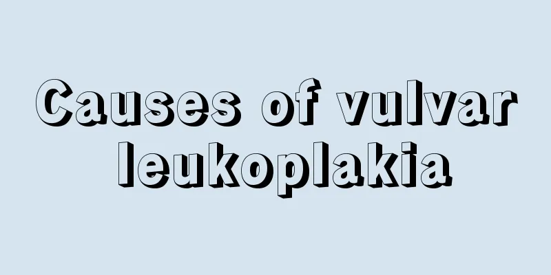 Causes of vulvar leukoplakia