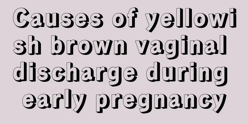 Causes of yellowish brown vaginal discharge during early pregnancy