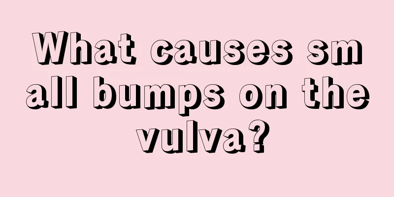 What causes small bumps on the vulva?