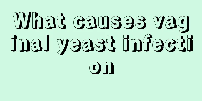 What causes vaginal yeast infection