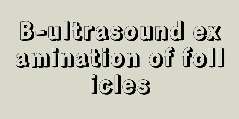 B-ultrasound examination of follicles