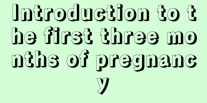 Introduction to the first three months of pregnancy