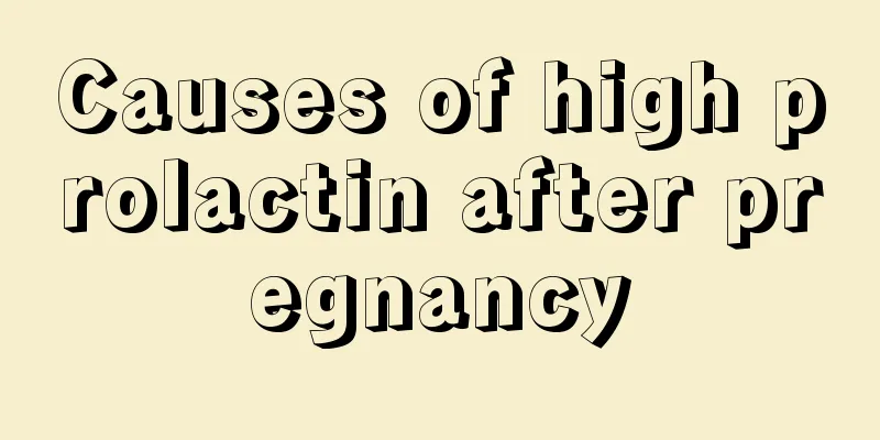 Causes of high prolactin after pregnancy