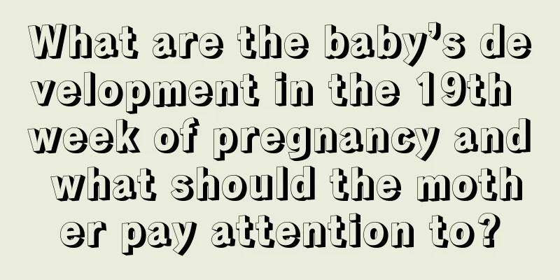 What are the baby’s development in the 19th week of pregnancy and what should the mother pay attention to?