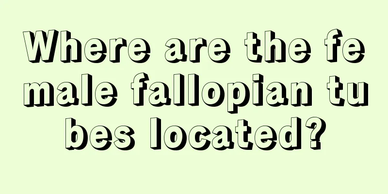 Where are the female fallopian tubes located?