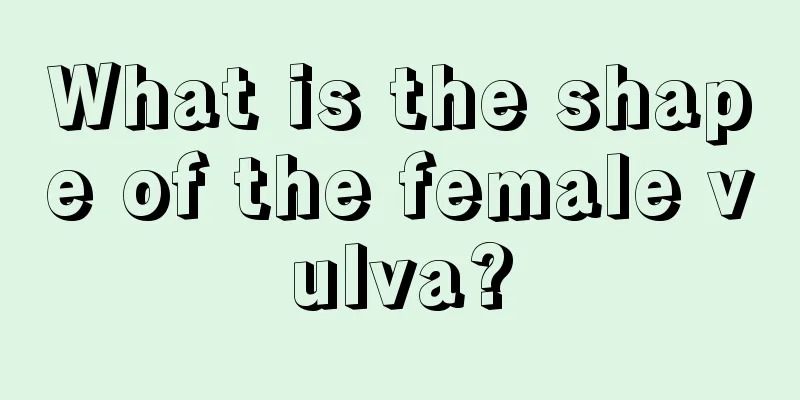 What is the shape of the female vulva?