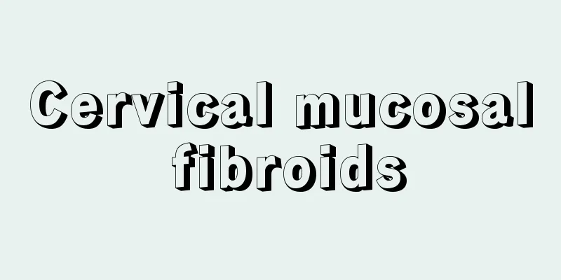 Cervical mucosal fibroids