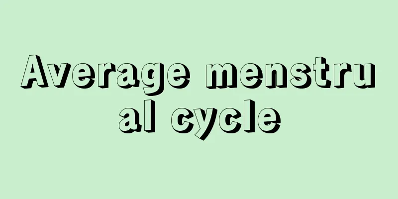 Average menstrual cycle