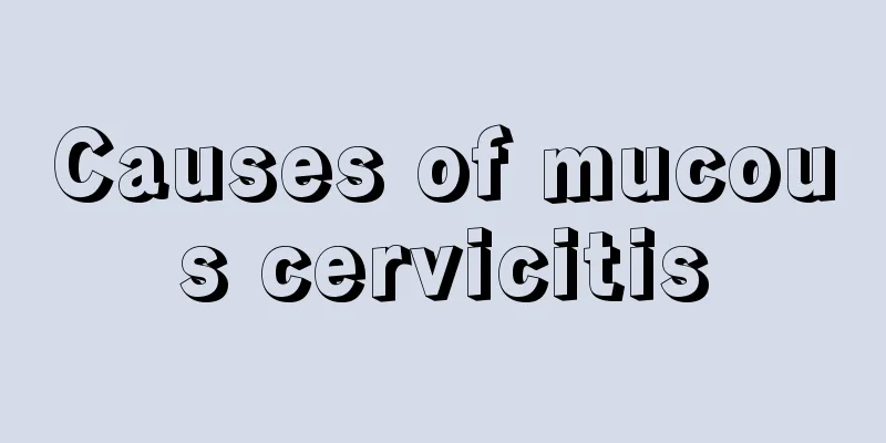 Causes of mucous cervicitis