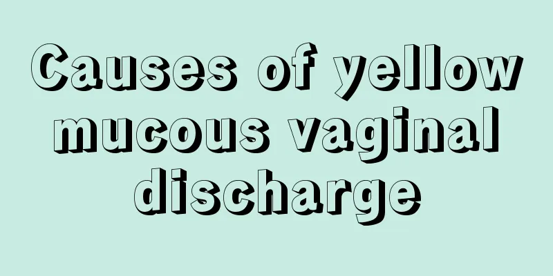 Causes of yellow mucous vaginal discharge