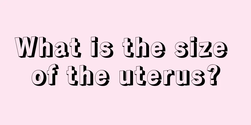 What is the size of the uterus?