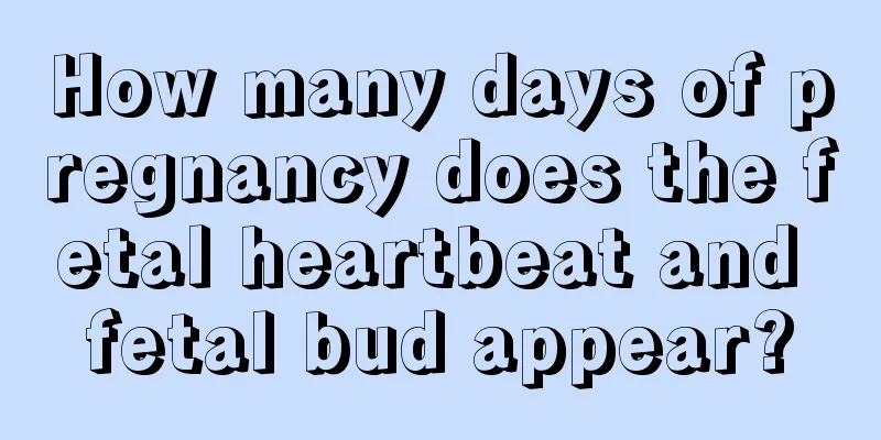 How many days of pregnancy does the fetal heartbeat and fetal bud appear?